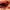 collections/6R4A3141.jpg