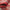 ERZARI - Red - 3.35m x 2.50m