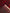 KHAN MOHAMMADI - Red - 1.68m X 1.07m