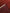 FINE AFGHAN BOKHARA - Red - 2.94m x 2.05m