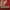 KAISER RUNNER Red & Beige - 1.97m X 0.73m
