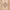 KASAK RUNNER - BEIGE - 1.87m x 0.56m