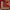 SULTANI - RED - 2.01m X 1.52m