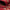 SULTANI - Red - 2.41m x 1.71m