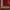 SULTANI - Red - 3.06m x 2.04m