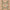 KASAK RUNNER - Green - 1.84m x 0.61m