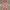 KASAK - Green - 2.94m x 2.02m