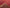 FINE AFGHAN BOKHARA - Red - 3.97m x 3.01m