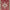 KASAK RUNNER - Red - 2.51m x 0.76m