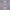 KASAK - Blue & Red - 3.03m x 2.02m