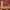 KASAK - Blue & Red - 3.03m x 2.02m
