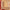 KAISER RUG - ROUND - Beige Red - 1.53m x 1.51m