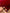FINE AFGHAN BOKHARA - Red - 2.96m x 200m