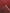 KHAN MOHAMMADI - Red - 2.98m x 2.05m