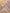 Contemporary - OUSHAK - Grey | 3.60m x 2.70m