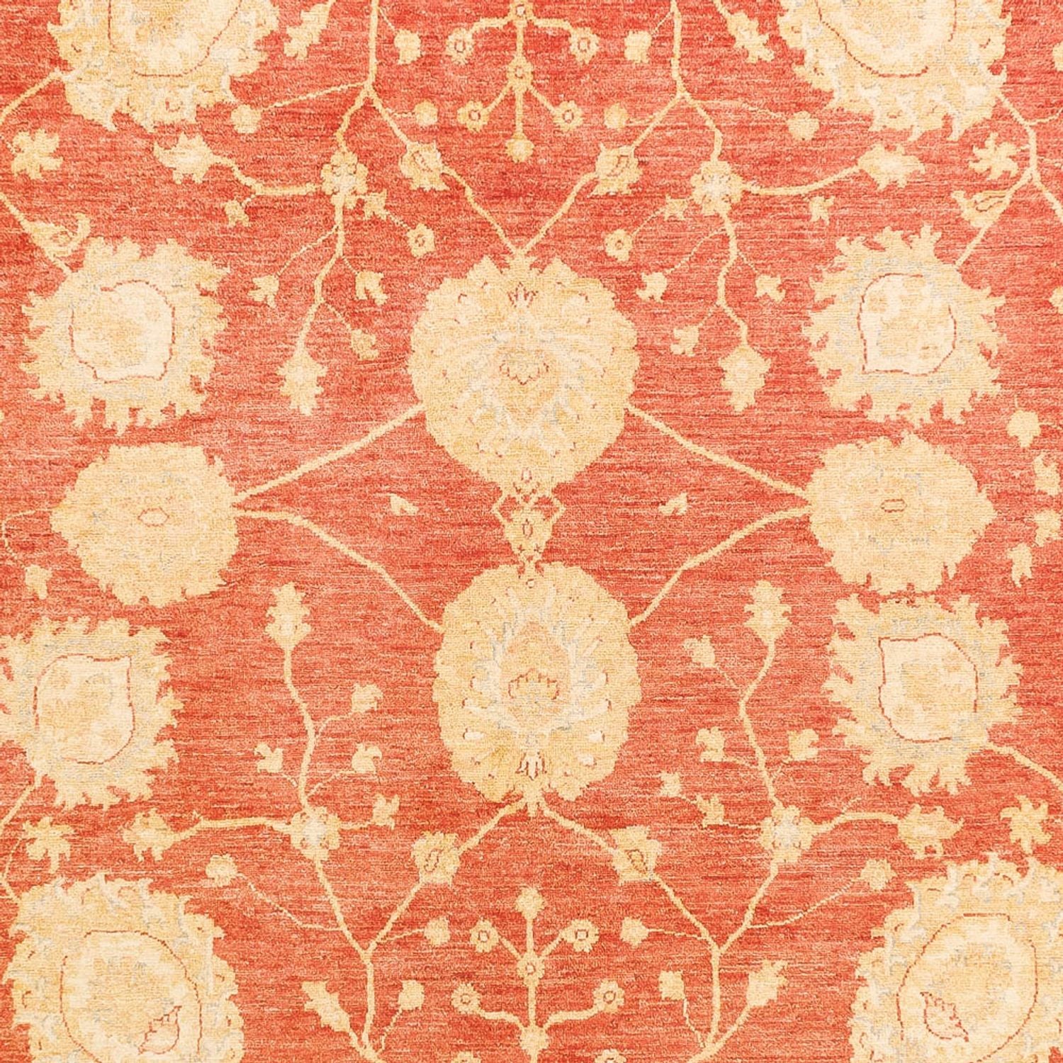 KAISER RUG - Red Beige - 3.66m x 2.77m