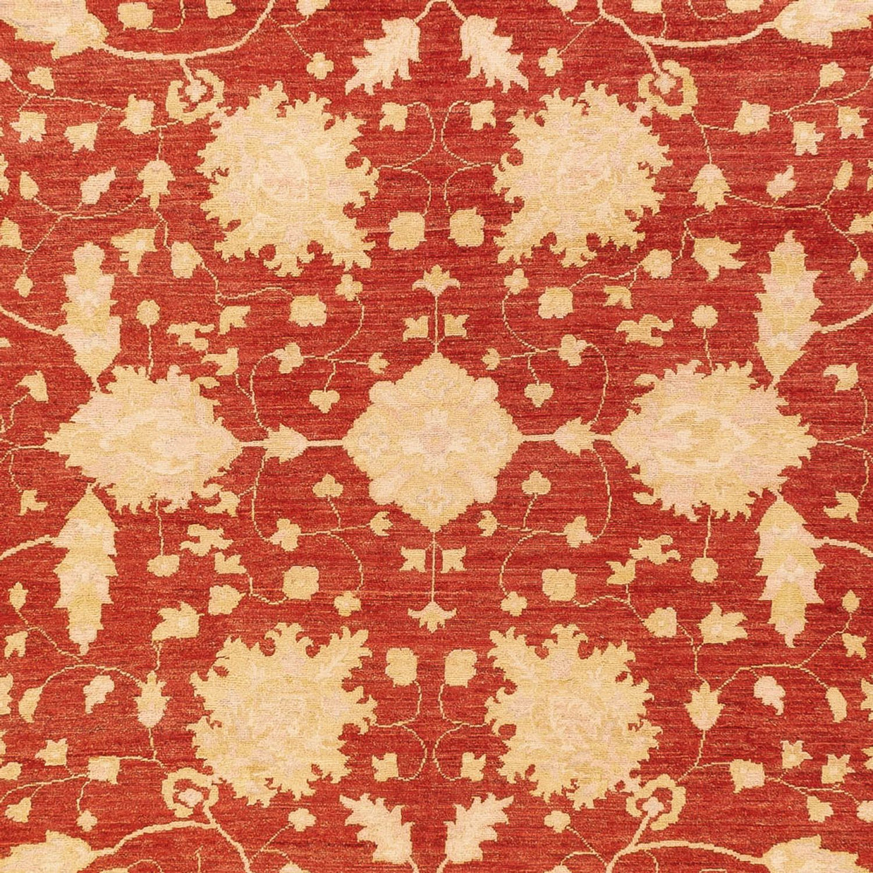 KAISER RUG - Red Beige - 3.99m x 3.05m