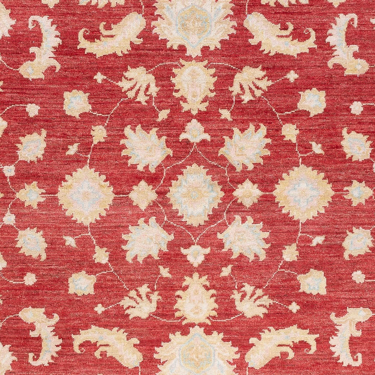 KAISER RUG - Red Beige - 2.40m x 1.75m