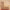 KAISER RUNNER - Red Beige - 2.03m x 0.80m
