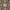 KAISER RUNNER - Green Beige - 2.46m x 0.82m