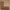 BERBER - BEIGE - 4.10m x 3.10m