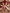 ARIANA DECORATIVE RUG - 1.98m x 1.20m