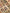 NOMADIC WOOLEN DECORATIVE RUG - 1.88m x 1.20m