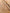 KHORJIN - Beige - 2.43m x 1.43m