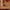 MODERN AFGHAN - Red Beige -  3.15m x 2.09m