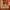AFGHAN RUG - Red -  2.95m x 2.35m