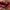 KASAK RUNNER - Red - 2.94m x 0.71m