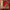 KASAK RUNNER - Red - 2.94m x 0.71m